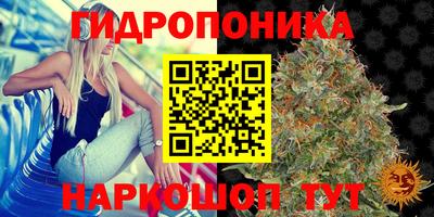 PSILOCYBIN Тулун