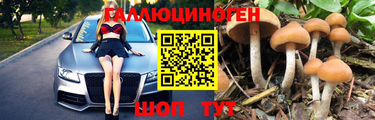 Псилоцибиновые грибы Psilocybe Мирный